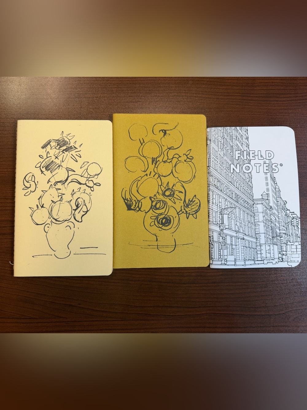 (3) notebook books